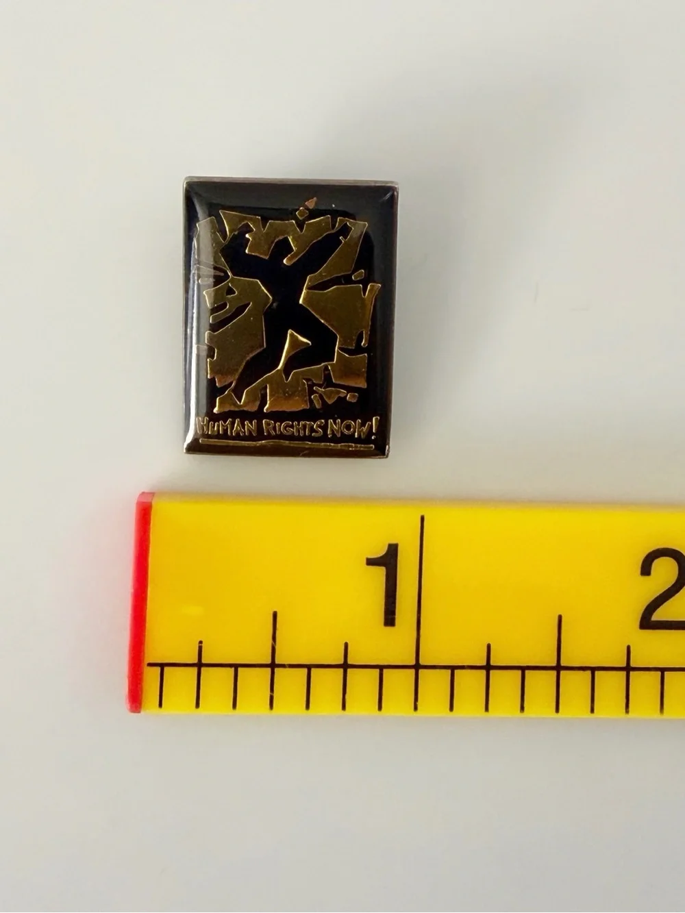 Human Rights Now 80's World Tour Reebok Sponsored Sterling Plated Pin
